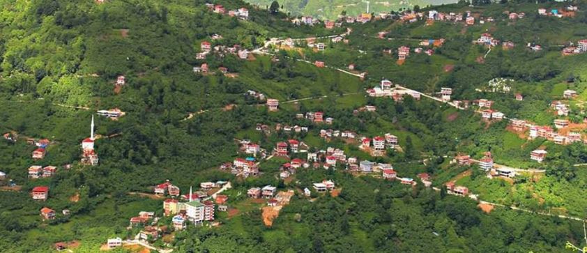 Araklı Yeşilköy Resimleri 6