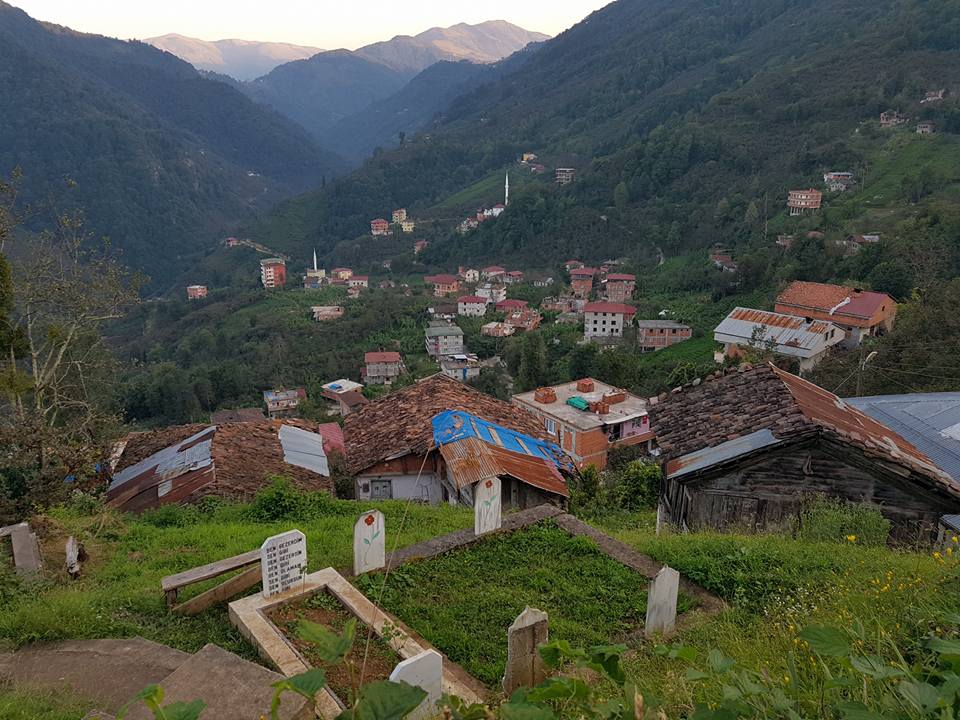 Araklı Yeşilköy Resimleri 9