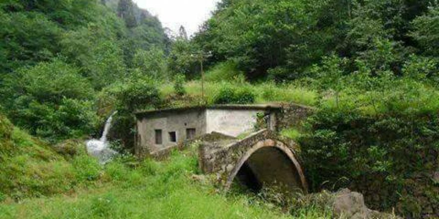 Araklı Yeşilköy Resimleri