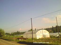 Banaz Hatipler Köyü Resimleri 4