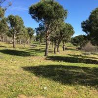 Ezine Alemşah Köyü Resimleri 5