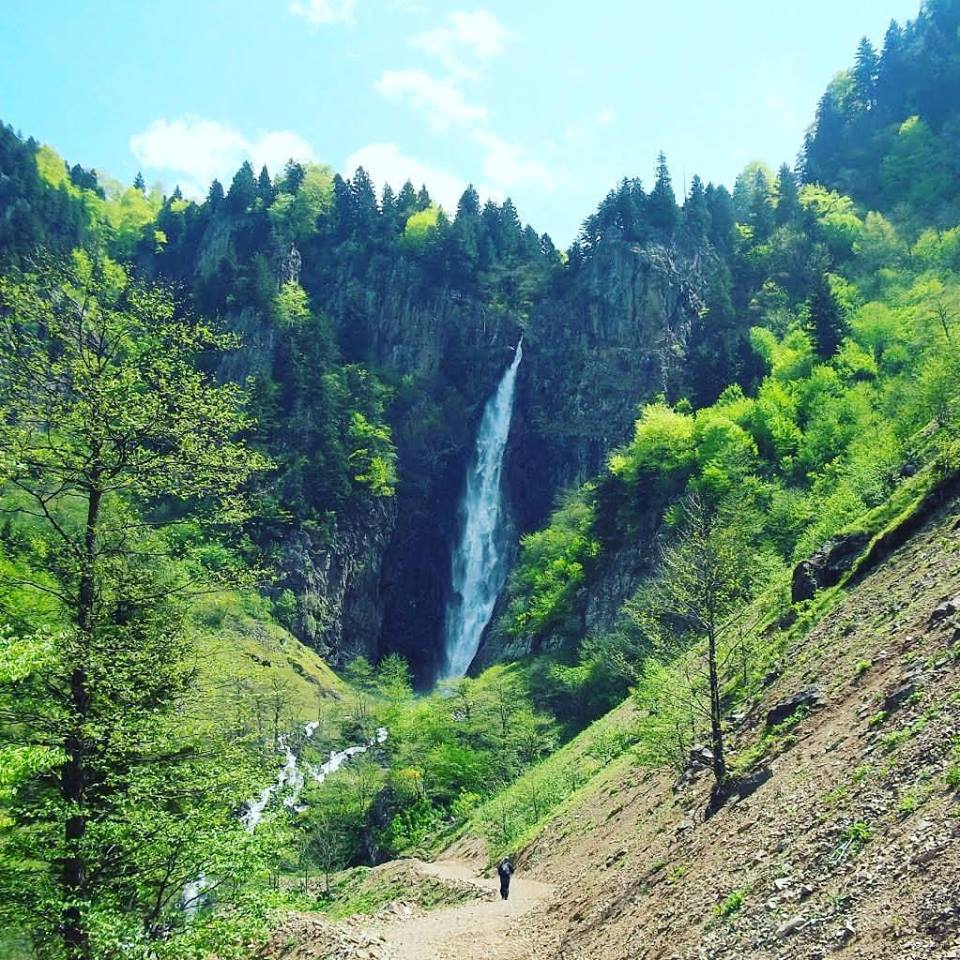 Araklı Yeşilyurt Beldesi Resimleri 12