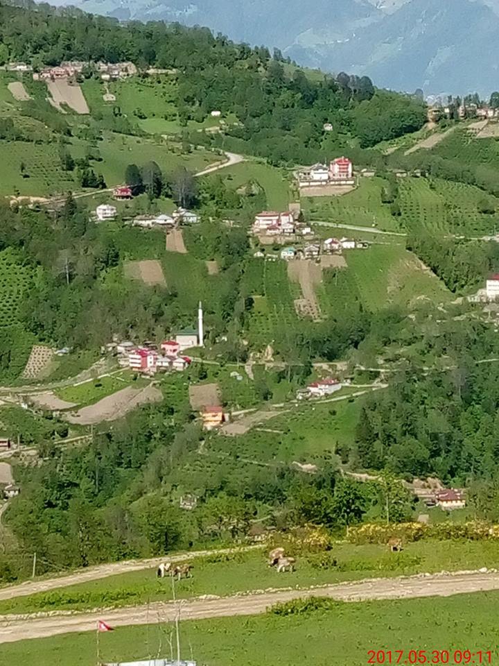 Araklı Yeşilyurt Beldesi Resimleri 21