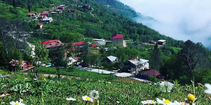 Araklı Yeşilyurt Beldesi Resimleri
