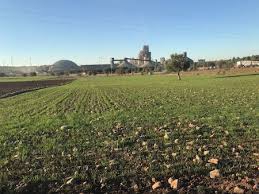 Ezine Bozalan Köyü Resimleri 8