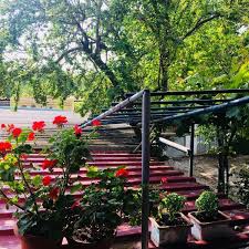 Ezine Bozeli Köyü Resimleri 3