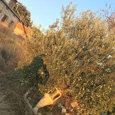 Ezine Bozköy Köyü Resimleri 1