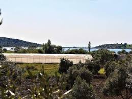 Ezine Bozköy Köyü Resimleri 5