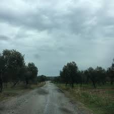 Ezine Bozköy Köyü Resimleri 6