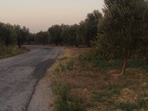 Ezine Bozköy Köyü Resimleri 7