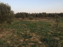 Ezine Bozköy Köyü Resimleri 9