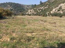 Ezine Çamköy Köyü Resimleri 4