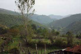 Ezine Çamoba Köyü Resimleri 11