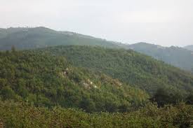 Ezine Çamoba Köyü Resimleri 12