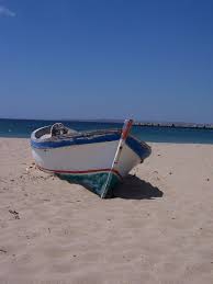 Ezine Çamoba Köyü Resimleri 5