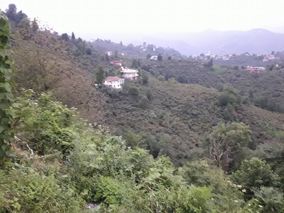 Araklı Yıldızlı Köyü Resimleri 11