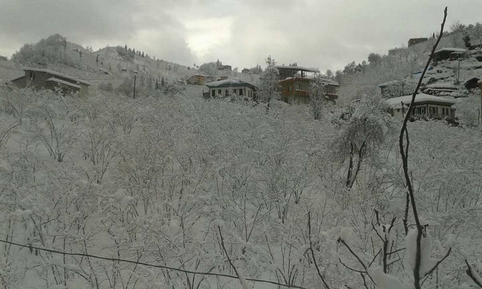 Araklı Yıldızlı Köyü Resimleri 13