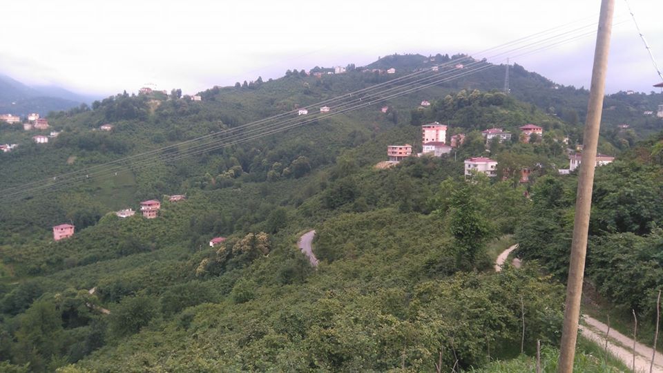 Araklı Yıldızlı Köyü Resimleri 25