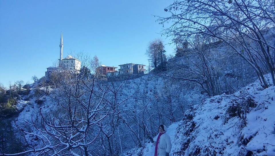 Araklı Yıldızlı Köyü Resimleri 27