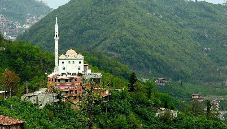 Araklı Yıldızlı Köyü Resimleri 33