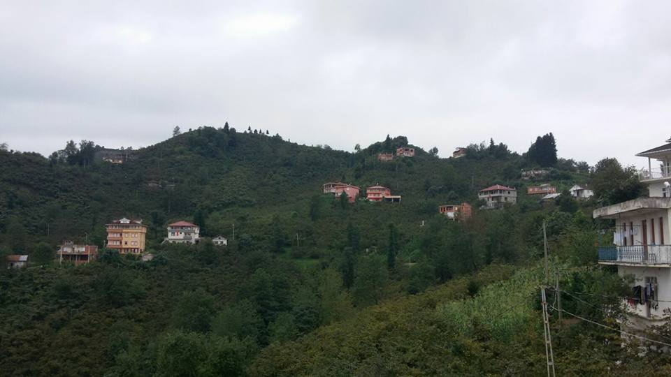 Araklı Yıldızlı Köyü Resimleri 6