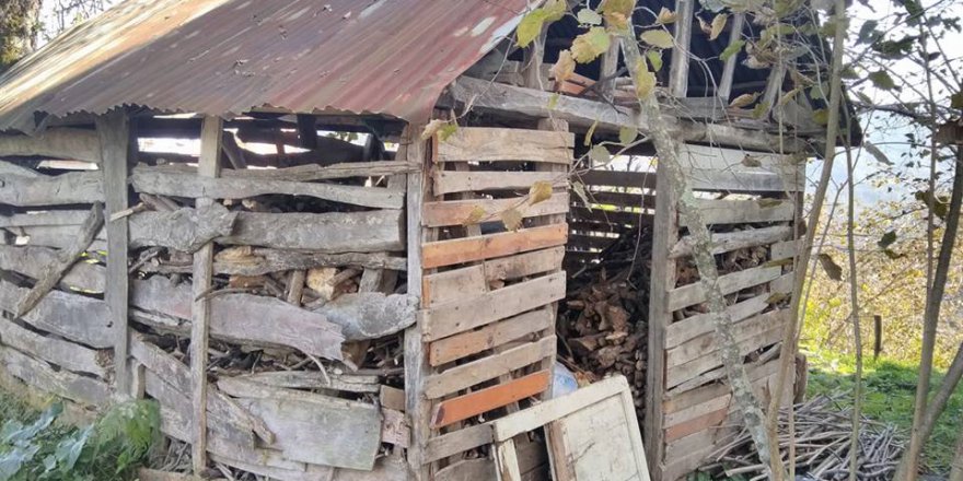 Araklı Yıldızlı Köyü Resimleri