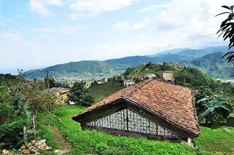 Araklı Yiğitözü Köyü Resimleri 1