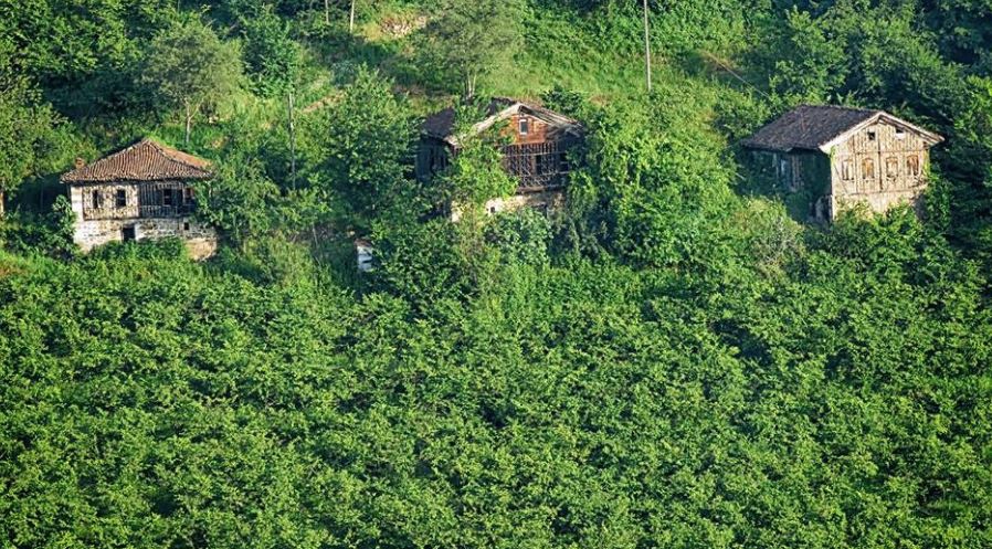 Araklı Yiğitözü Köyü Resimleri 11