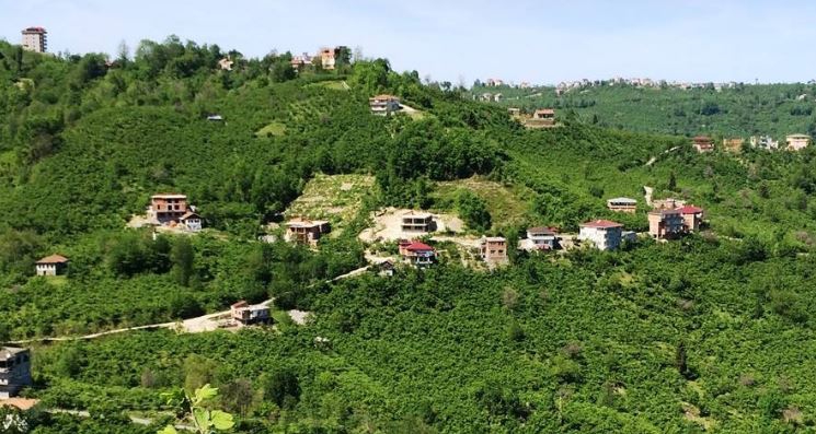 Araklı Yiğitözü Köyü Resimleri 2