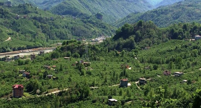 Araklı Yiğitözü Köyü Resimleri 4