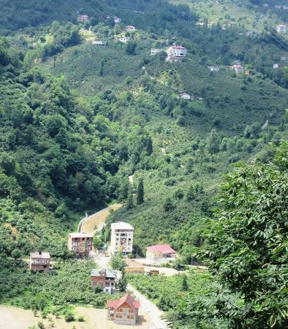 Araklı Yiğitözü Köyü Resimleri 8