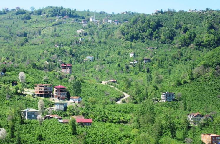Araklı Yiğitözü Köyü Resimleri 9
