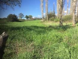 Ezine Hisaralan Köyü Resimleri 1