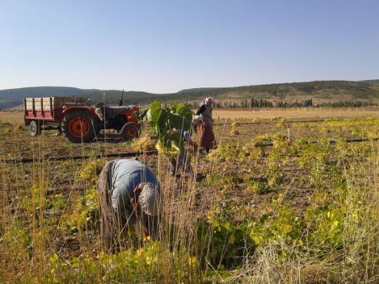 Banaz Küçükler Köyü Resimleri 6