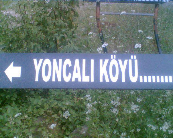 Araklı Yoncalı Köyü Resimleri 1