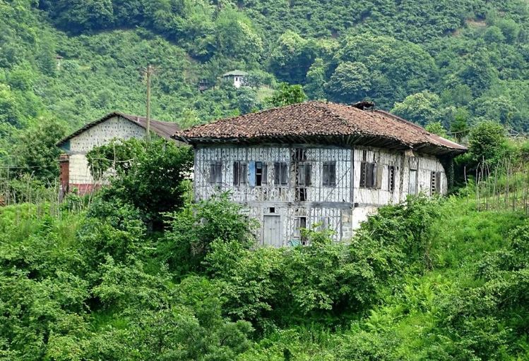 Araklı Yoncalı Köyü Resimleri 10