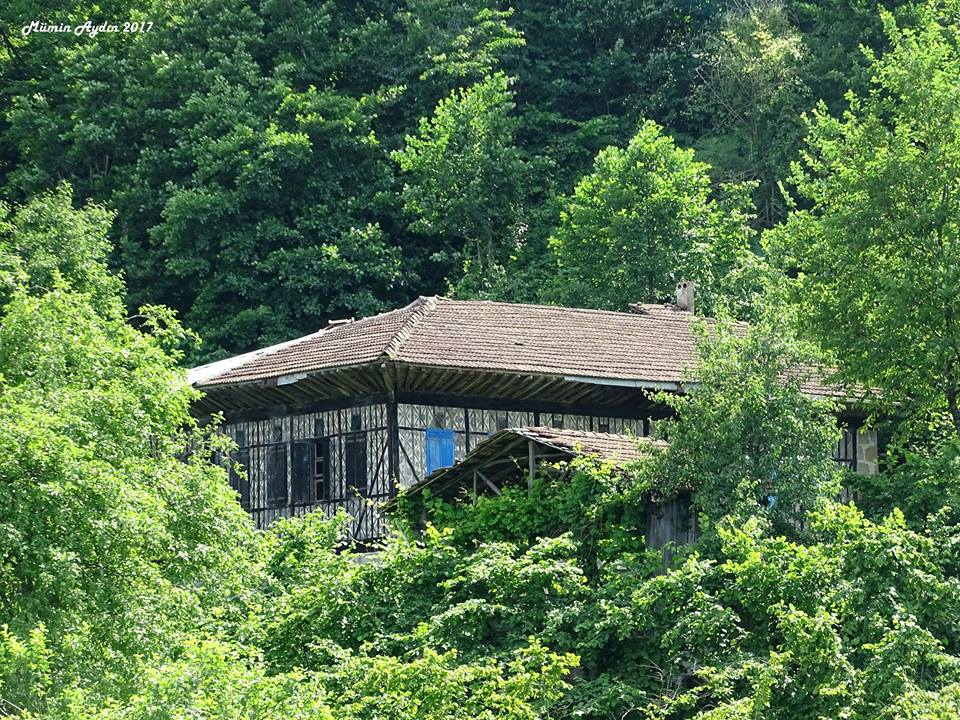 Araklı Yoncalı Köyü Resimleri 11