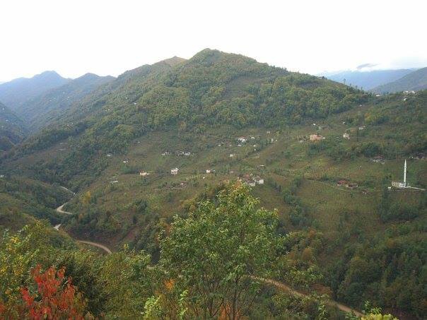 Araklı Yoncalı Köyü Resimleri 3