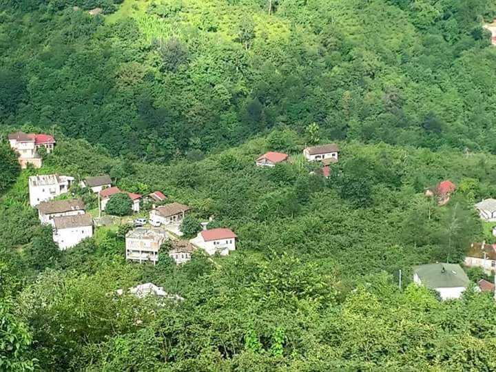 Araklı Yoncalı Köyü Resimleri 5