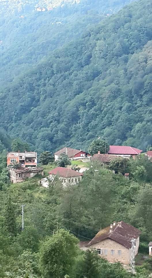 Araklı Yoncalı Köyü Resimleri 6