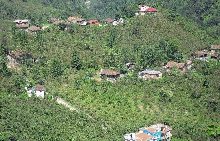 Araklı Yoncalı Köyü Resimleri 9