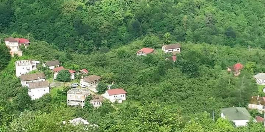 Araklı Yoncalı Köyü Resimleri