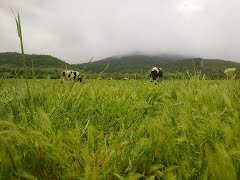 Banaz Küçükoturak Köyü Resimleri 4