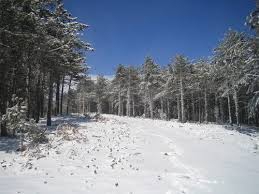 Banaz Küçükoturak Köyü Resimleri 5