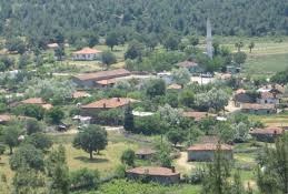 Ezine Koçali Köyü Resimleri 1