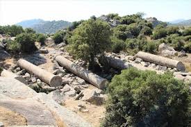 Ezine Koçali Köyü Resimleri 2