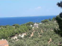 Ezine Koçali Köyü Resimleri 5