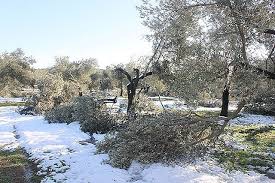 Ezine Mecidiye Köyü Resimleri 1