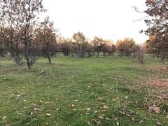 Ezine Mecidiye Köyü Resimleri 7