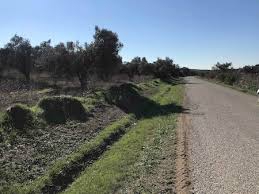 Ezine Mecidiye Köyü Resimleri 8